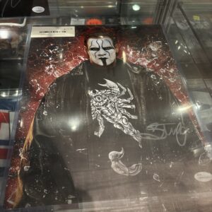 Sting Autographed 8x10 Wresting Photo w/JSA COA